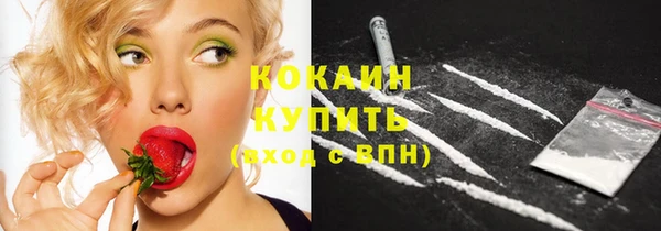 кокс Вяземский