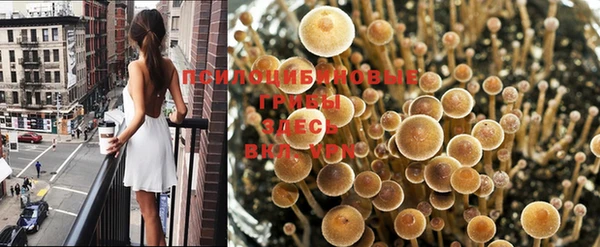 спиды Волоколамск