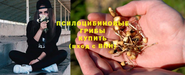 кокс Вяземский